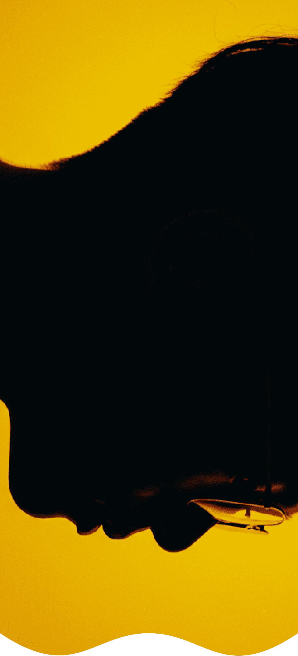 Tanaboi.com - Web開発者・デザイナーのポートフォリオ画像（モバイル版）